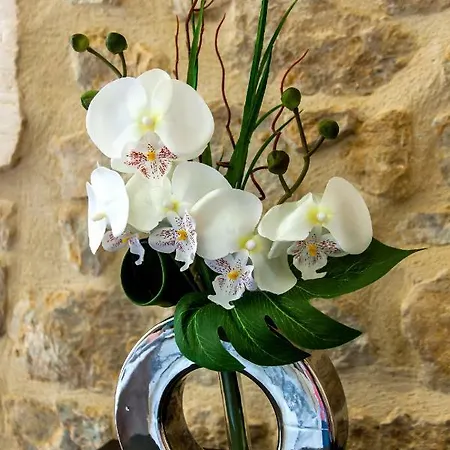 Le Petit Tresor